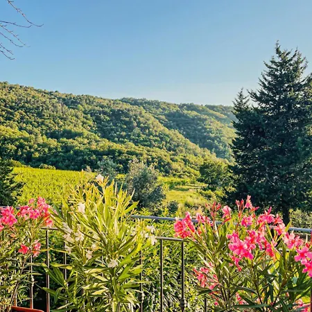 Chianti With Pool Terrace Garden And Magnificient View 2 To 8 Persons 公寓 基安蒂格雷夫