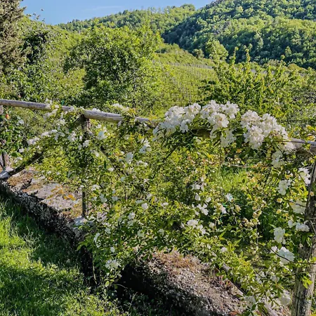 Chianti With Pool Terrace Garden And Magnificient View 2 To 8 Persons *