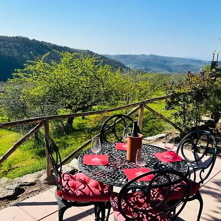 아파트 Chianti With Pool Terrace Garden And Magnificient View 2 To 8 Persons 그레베 인 키안티